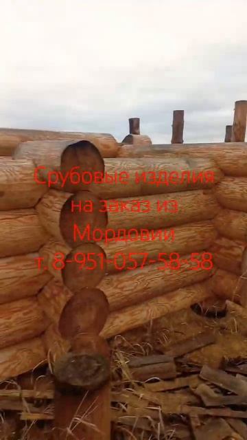 Лучшие специалисты по срубам в Мордовии. смотреть онлайн