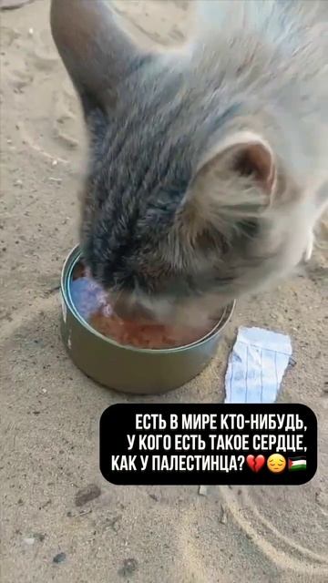 Есть в мире кто-нибудь, у кого есть такое сердце, как у ? смотреть онлайн