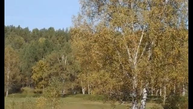 Собираю боярышник и шиповник у реки смотреть онлайн