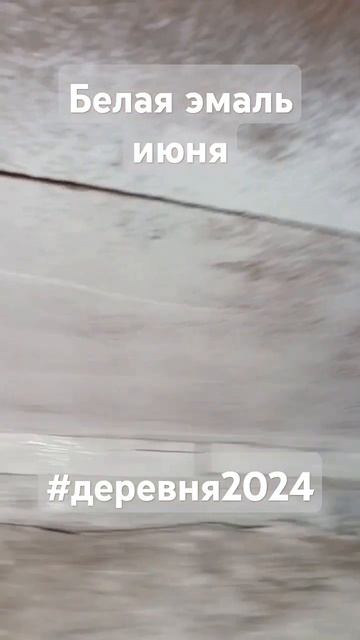 Белая эмаль июня #деревня2024 смотреть онлайн