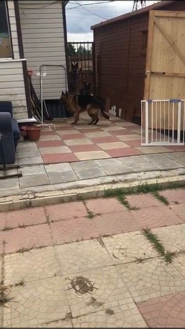 Корс и сарай смотреть онлайн