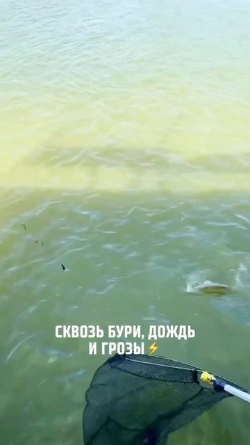 Сплавы на плотах по дикому Дону отдых рыбалка баня