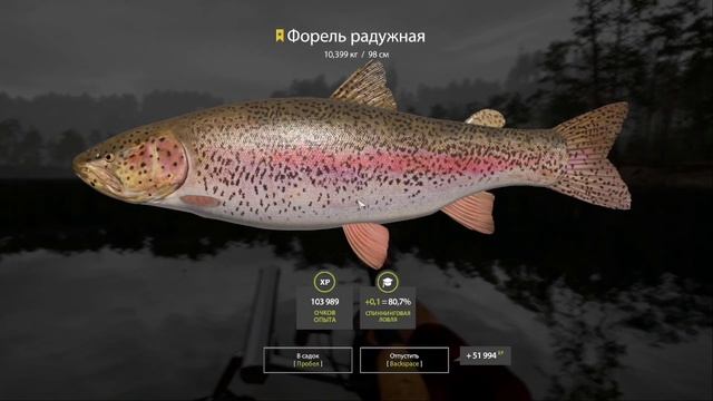 форель озерная на Куори рр4 смотреть онлайн