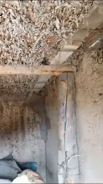 Деревенские будни. Мажу сарай для гусей своими руками смотреть онлайн