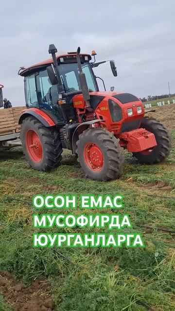 Дехкон волгоград ОСОН ЕМАС МУСОФИРДА ЮУРГАНЛАРГА смотреть онлайн