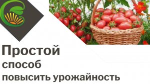 Простой способ повысить урожайность