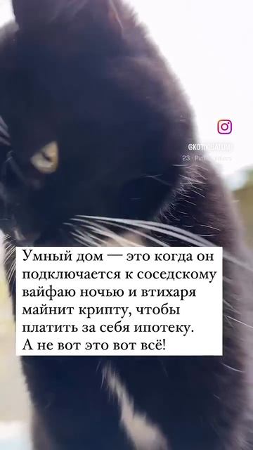 Каким действительно должен быть умный дом #hiphop #music #rap # смотреть онлайн