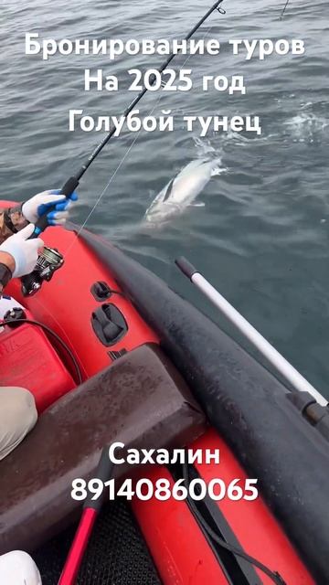 Ловим огромную рыбу сахалин туризм рыбалка fishing tuna
