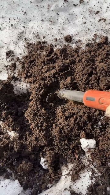 Находка ч.526🔥🔥 #леснойскобарь#2025#металлоискатель#minel смотреть онлайн