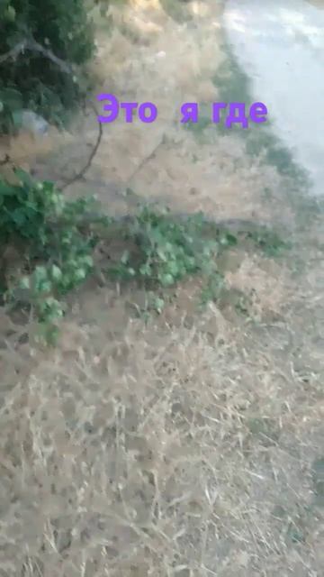 14 июля 2024 г. смотреть онлайн