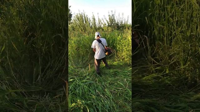 Мототокоса во время работы