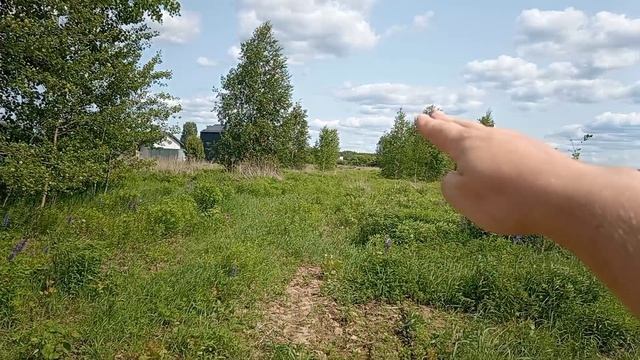 05-06-2025 смотреть онлайн