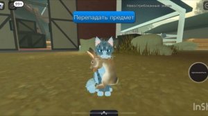 Баг в котах воителях Roblox