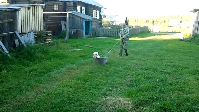 ЦАРЕВНА Катюшка. Поездка в тазике.