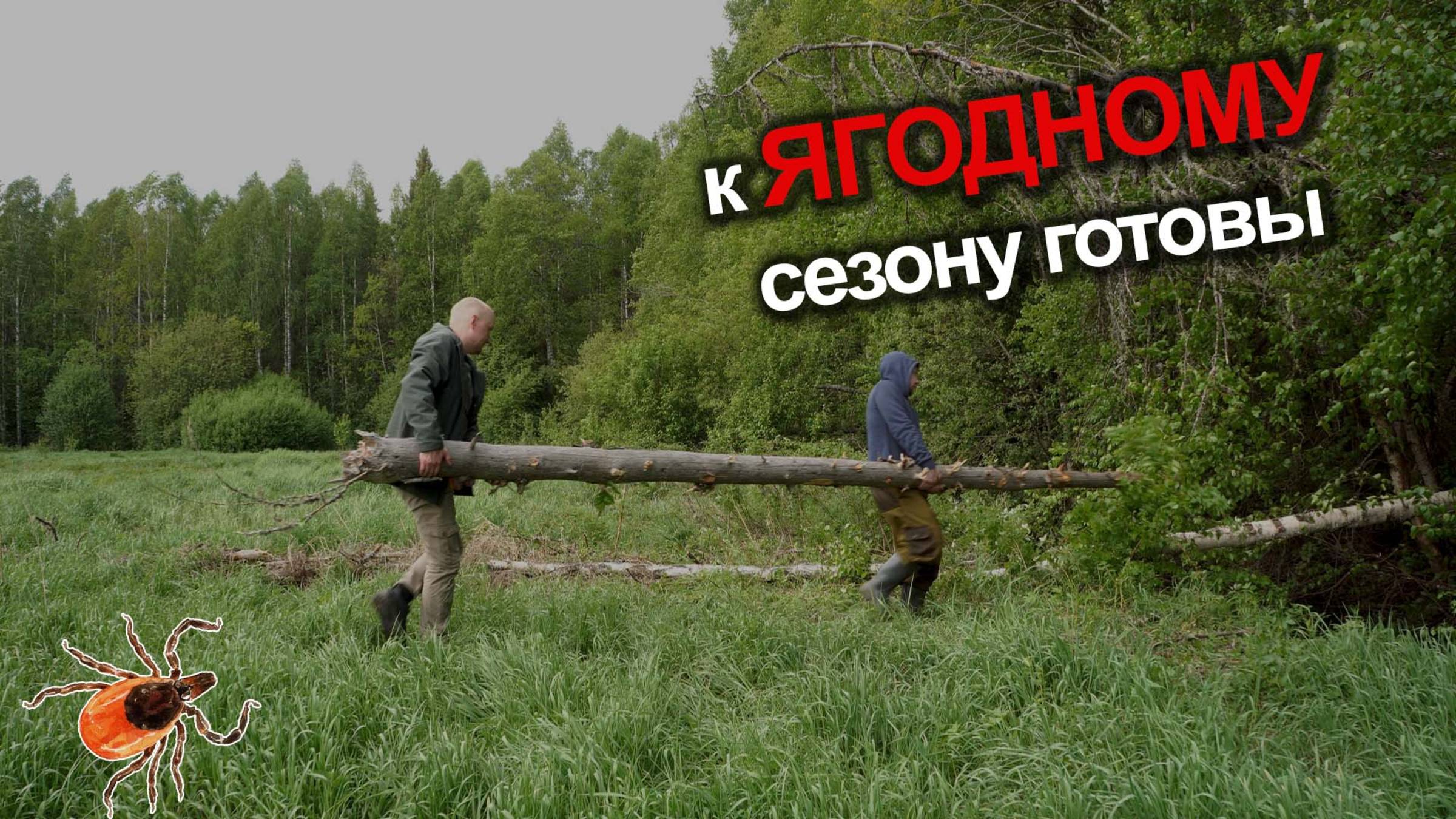 Шикарный бор. Сходил разведать дорогу. Сделали переход через брод.