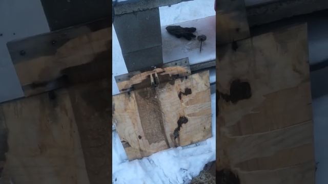 Прослойки горячего копчения на ольхе смотреть онлайн