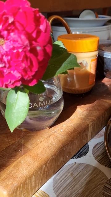 О, БЕЛЫЕ розы бесзащитны шипы...! Роза ПЕРЕСОРТИЦА! ЧТО ? смотреть онлайн