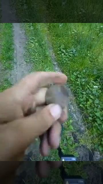 Первый выход с Tesoro Mojave смотреть онлайн