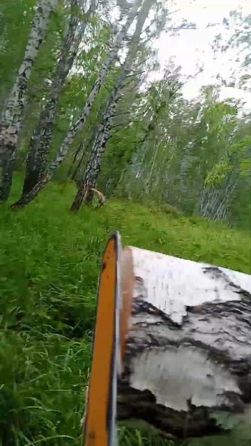 китайский штиль ms 250 смотреть онлайн