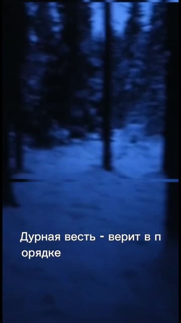 TG: СВЯТ EVERY DAY «там есть фулл трек» #музыка #rep #music #repper #rec смотреть онлайн