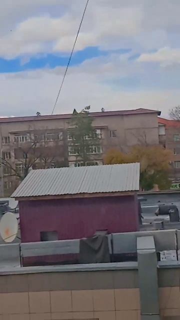 а у вас есть снег? смотреть онлайн