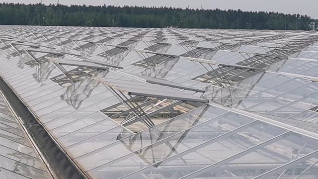 Тепличный Life #2