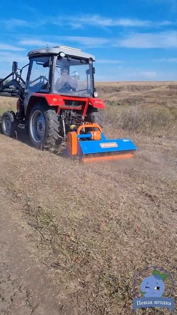 Косилка мульчер, первая проба #голубика #shorts смотреть онлайн