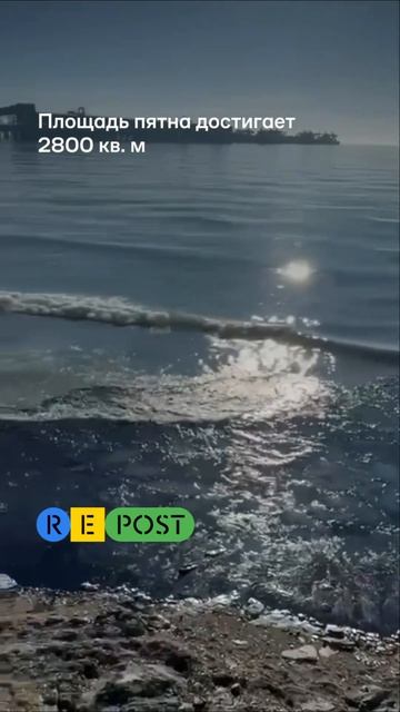 В Черном море появилось новое пятно мазута смотреть онлайн