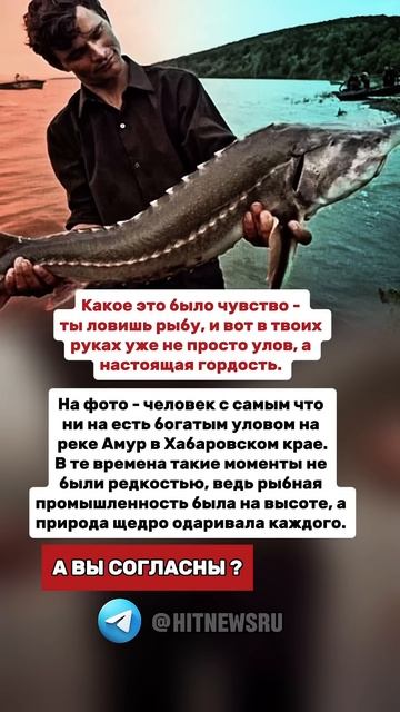 На фото - человек с самым что ни на есть богатым уловом