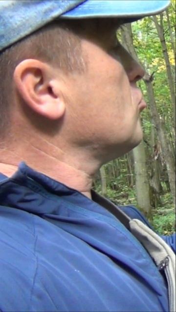 Чага #лес #находки #shorts смотреть онлайн