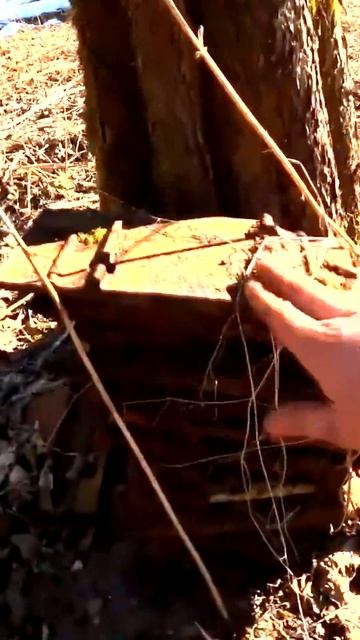 Упс! Жена выгнала из дома и сказала идти искать металл? смотреть онлайн