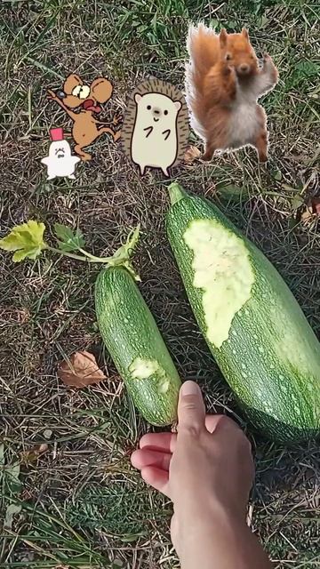 ПРАЗДНИК УРОЖАЯ #грызуны #урожай #мыши #кроты #вредите? смотреть онлайн