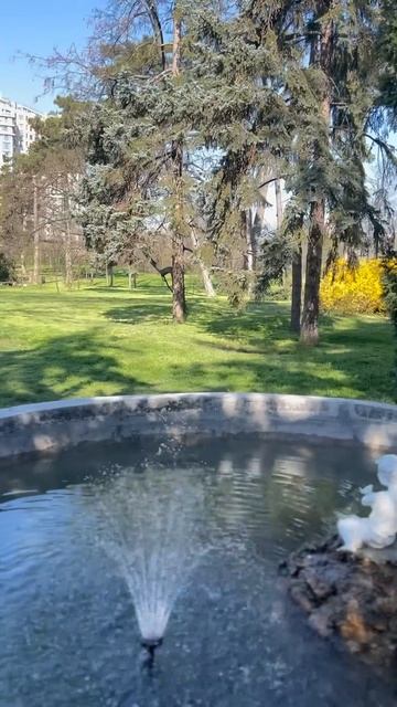 Ботанический сад в Одессе и это только начало- чудесны смотреть онлайн