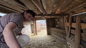 Затеяли мы работку, что ноги  не держат. Жизнь простых людей в деревне