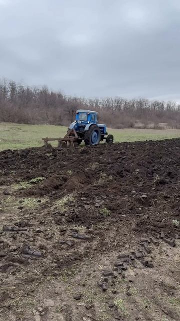 Т 40 с ведущим передком . В Худи 👍 смотреть онлайн