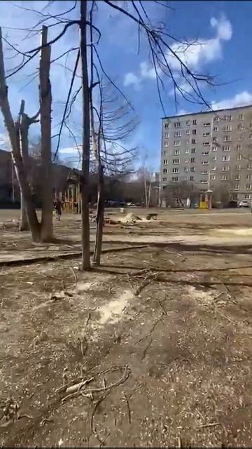 Sinolink Екатеринбург смотреть онлайн