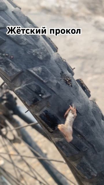 Жесткий прокол #asmr #bicycle #mountainbike #велосипед #mtbbike #mtb #сва? смотреть онлайн