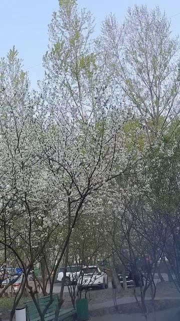 О Аллах!Просто помоги мне... #субханаллах#жизнь#аллоху смотреть онлайн