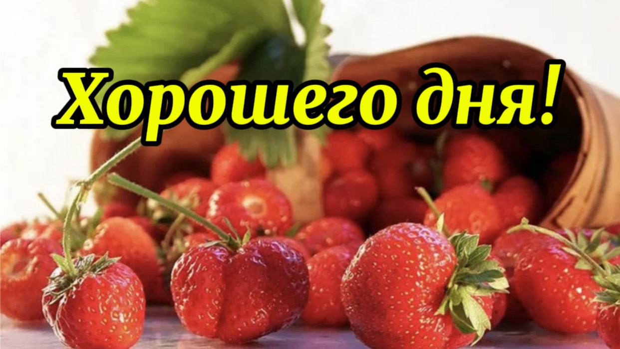 Доброго дня вам и хорошего утра! смотреть онлайн