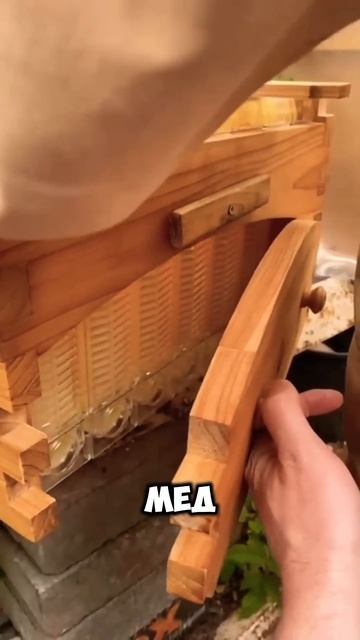 Какие традиции пчеловодстве есть в других странах? #bee смотреть онлайн