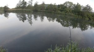 Ловля форели на отводной поводок! Ловля пассивной форели!