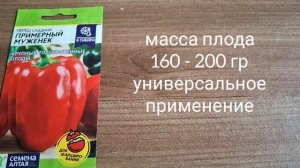 Ранние сорта перца на 2025 год