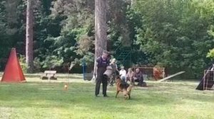 1 Отл. КЧК AMIGO Nova Jamina +++ №9. КЧК ТОЛЬЯТТИ 24 мая`25 А.Сороко Моно немецких овчарок