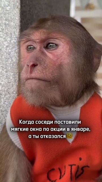 Сезонная акция на установку мягких окон. смотреть онлайн