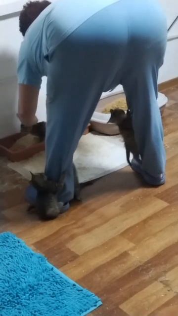 Круче гор может быть только Галя смотреть онлайн