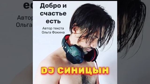 DJ СИНИЦЫН - Добро и счастье есть #музыка #топ #песня #music смотреть онлайн