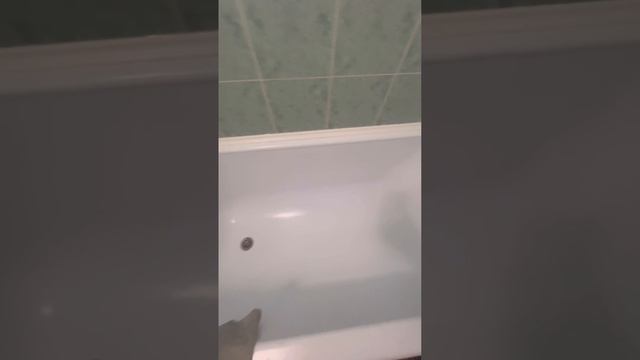 Квартира Москва в аренду от хозяйки метро Коньково смотреть онлайн