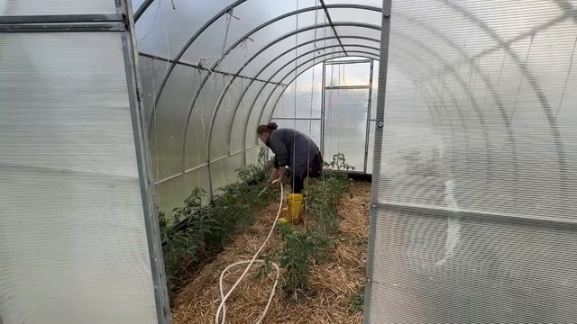 Залезли на участок соседей. Что будет дальше? Наша фер? смотреть онлайн