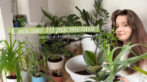 Спасаю 10 Растений с до/после || прогулка по Аптекарскому огороду