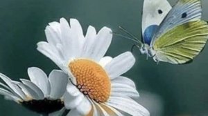 05-06-2025 Жизнь в деревне 🏡 Смотрим Василёк.